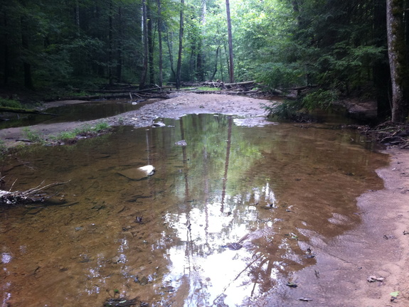 Sheltowee Trace, Red River Gorge